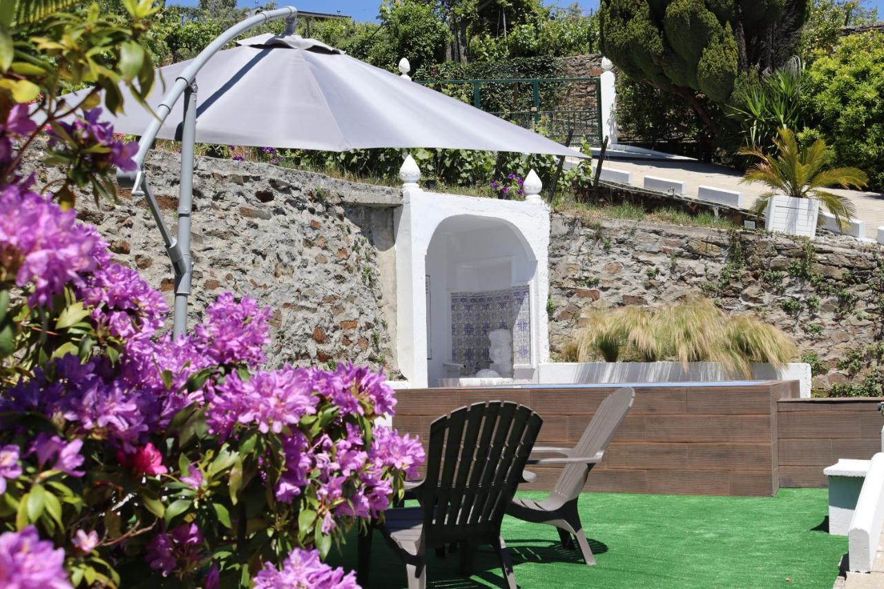 Villa Samaritana - Casa Da Vinha Vila Marim Экстерьер фото